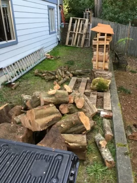 [Hearth.com] Pacific Dogwood