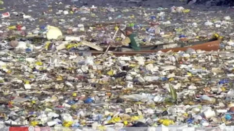 [Hearth.com] K-cup Seed Starter