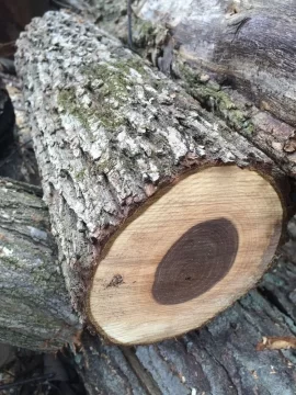 [Hearth.com] Wood ID please