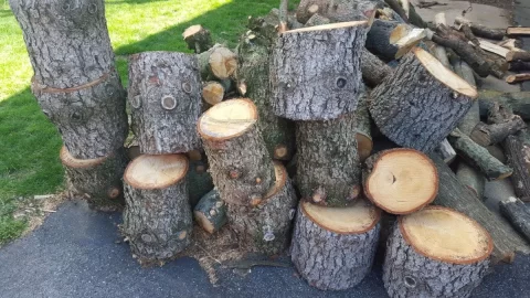 [Hearth.com] The Ideal Steel is loving white pine