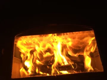 [Hearth.com] New Wood Stove/ Too much draft?