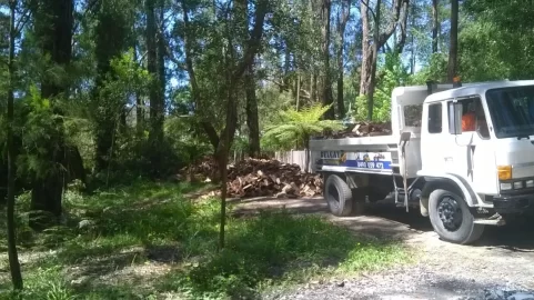 [Hearth.com] Moved house - had to move a 'bit' of firewood...... pics..