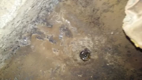 [Hearth.com] Can't find replacement fuseable 3/4 plug to fix leak into firebox on old Kalamazoo Boiler