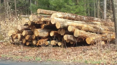 [Hearth.com] Log Load, 2016