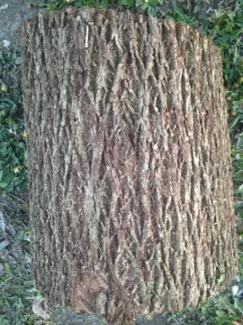 [Hearth.com] wood scrounge id