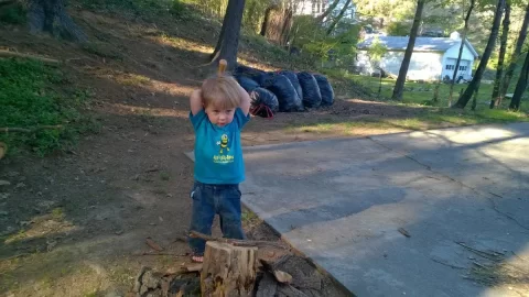 [Hearth.com] Dad's Helper