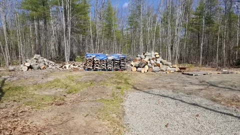 [Hearth.com] A little tree work around the house.