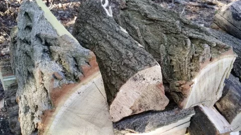 [Hearth.com] Need help in a hurry....