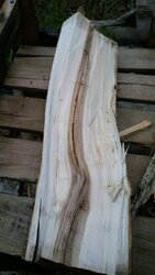 Wood ID