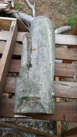 [Hearth.com] Wood ID