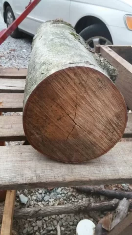 [Hearth.com] Wood ID