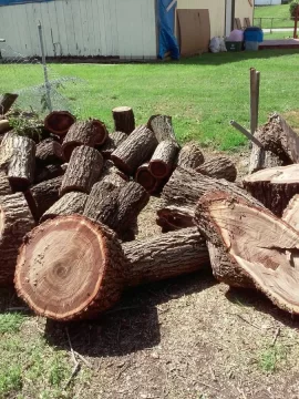 [Hearth.com] Wood Identification