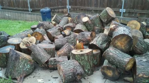 [Hearth.com] Wood Identification