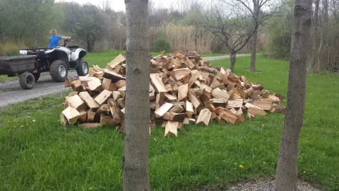 [Hearth.com] Load load pricing...got a quote...