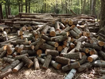 [Hearth.com] grapple load delivery - how much work do I have ahead of me?
