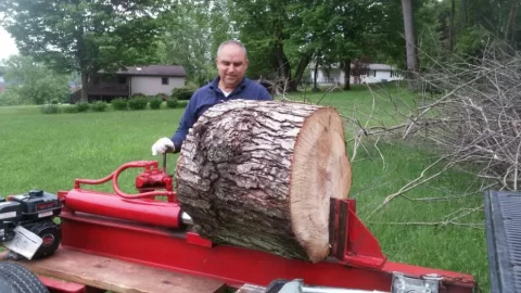 [Hearth.com] Just a Little Fruit Tree They Said