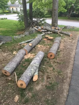 [Hearth.com] Wood ID and best way to get at it