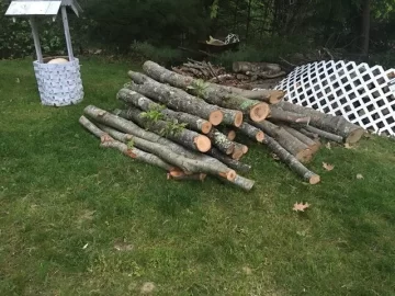 [Hearth.com] Wood ID and best way to get at it