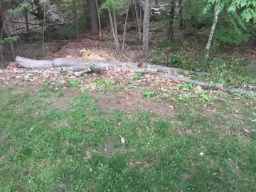 [Hearth.com] Wood ID and best way to get at it