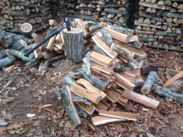 [Hearth.com] Wood ID and best way to get at it