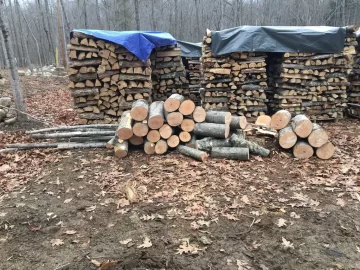 [Hearth.com] Wood ID and best way to get at it