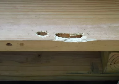 [Hearth.com] Life and death struggle in the woodshed!!  ;-)