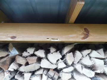 [Hearth.com] Life and death struggle in the woodshed!!  ;-)
