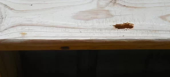 [Hearth.com] Life and death struggle in the woodshed!!  ;-)