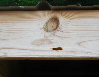 [Hearth.com] Life and death struggle in the woodshed!!  ;-)