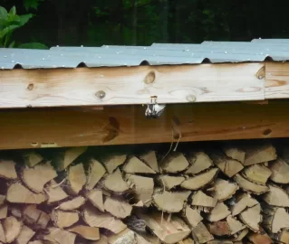 [Hearth.com] Life and death struggle in the woodshed!!  ;-)