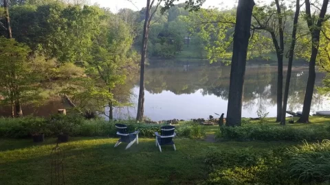 [Hearth.com] Free Locust Logs Chester County PA