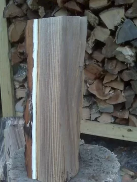 [Hearth.com] Tree ID Please...