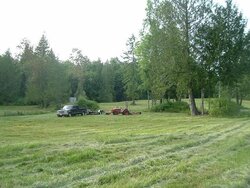 clearing land, want lawn