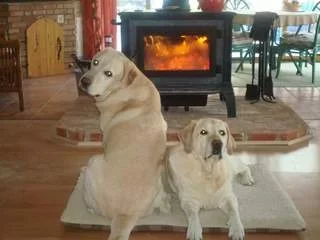 [Hearth.com] Lets see your "Best Friends"