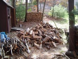 Is this a good deal for kindling??