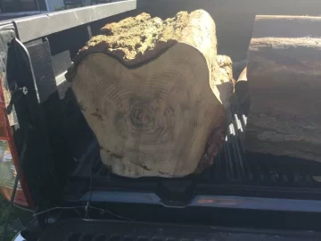 [Hearth.com] Locust?