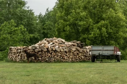 [Hearth.com] 10 Cord Log Load
