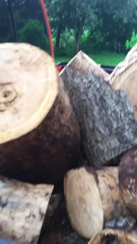 [Hearth.com] Another wood id