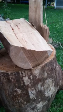 [Hearth.com] Another wood id