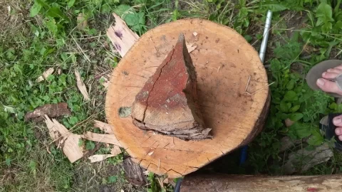 [Hearth.com] Another wood id