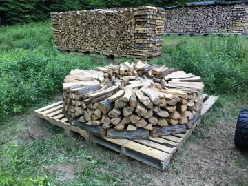 [Hearth.com] My First Holz Hausen