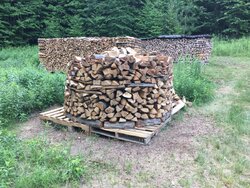 My First Holz Hausen