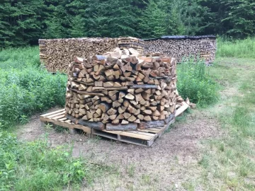 [Hearth.com] My First Holz Hausen