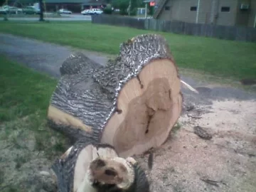 [Hearth.com] Free Wood!