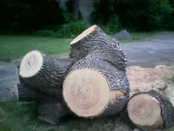 [Hearth.com] Free Wood!