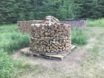 [Hearth.com] My First Holz Hausen