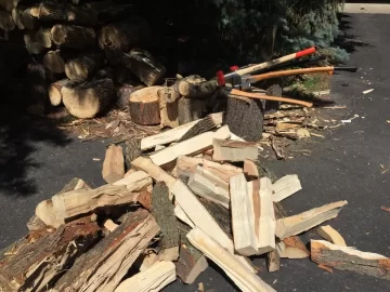 [Hearth.com] Sunday Funday