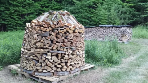[Hearth.com] My First Holz Hausen