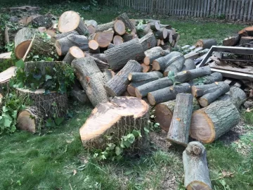 [Hearth.com] Oak taken down