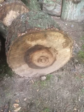 [Hearth.com] Wood Id please